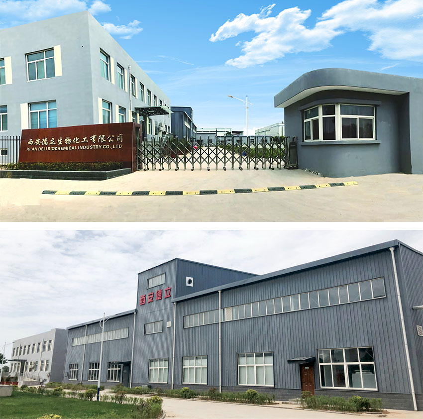 Xi'an Deli Biochemical Industry Co., Ltd.: Juhtiv innovatsioon tsüklodekstriini derivaatides, mis mõjutab farmaatsiatööstust